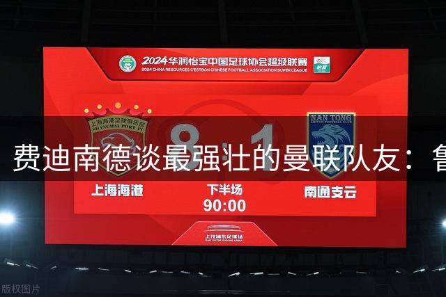 费迪南德谈最强壮的曼联队友：鲁尼、纳尼、埃弗拉都是身体怪兽